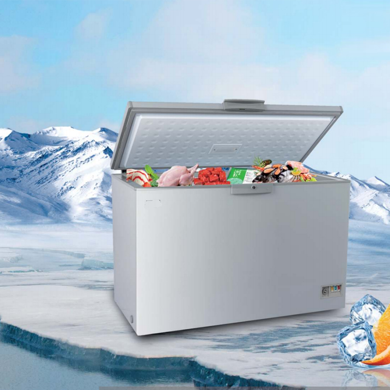 Fridge and Freezer (Common)