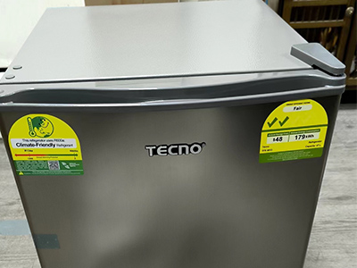 The Art of Refrigeration Middle Eastern Preferences for Home Refrigerators